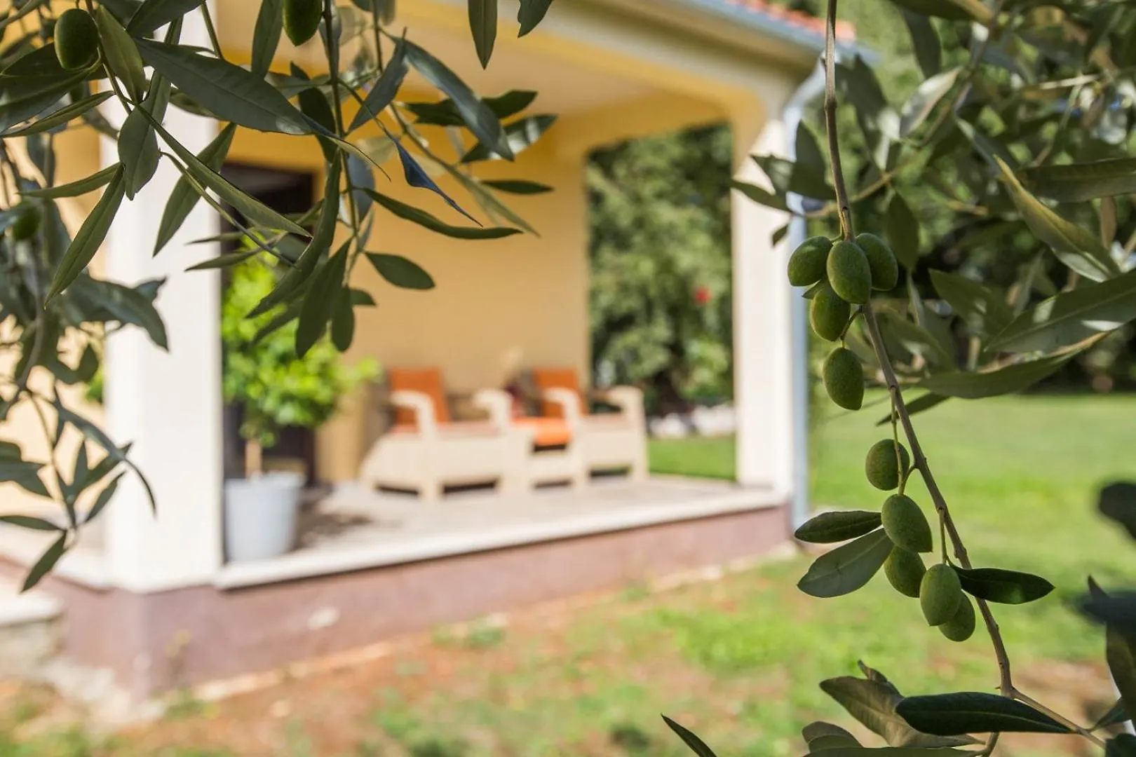 Susnjic Studio With Pool, Children Playground And Terrace Baderna 0*,